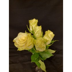 NOEL ROSES BLANCHE...