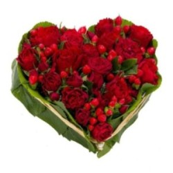 COEUR ARDENT