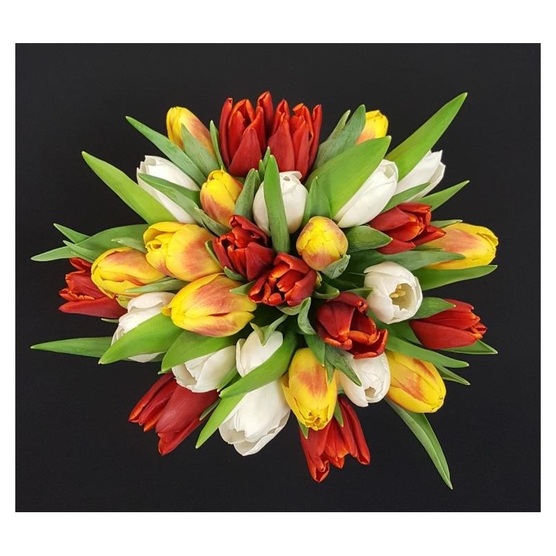 AGATHE TULIPE BOUQUET DE 30 TIGES ASSORTIES