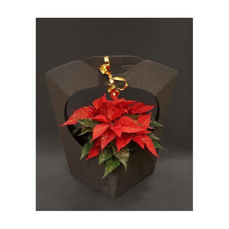 POINSETTIA PAILLETTE DIAMETRE 10 50 CM AVEC CACHE POT AU CHOIX ET ECRIN NOIR