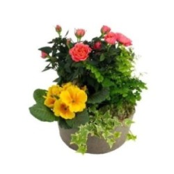 COMPOSITION SOUVENIRS