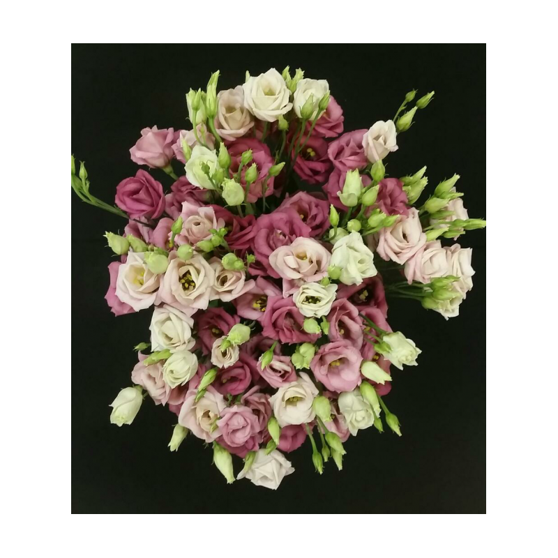 BOUQUET PROMOTION LISIANTHUS 6 TIGES (3 TIGES ACHETEES 