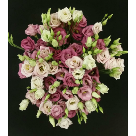 BOUQUET PROMOTION LISIANTHUS 6 TIGES (3 TIGES ACHETEES 