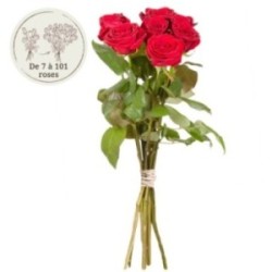 7 GRANDES ROSES ROUGES