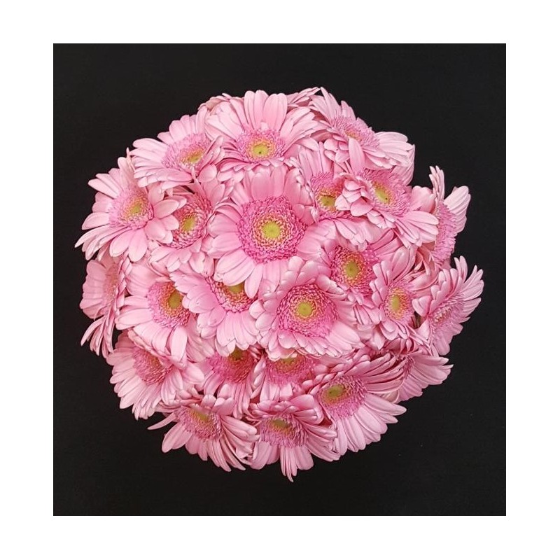 GERMINI ROSE BOUQUET 25 TIGES