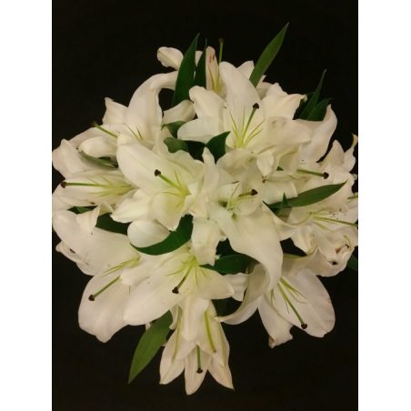 LYS ORIENTAL BLANC ( 3 TIGES ACHETEES 