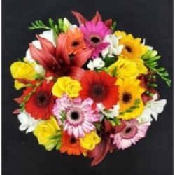BOUQUET PROMOTION 28 TIGES GERMINI ASSORTI X 10 + SALLAL X5 + ROSES JAUNES MB X5 + LYS ASSORTI X3 + FREESIA X5
