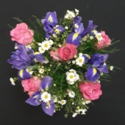 BOUQUET PROMOTION 25 TIGES COMPOSE DE ASTER MAUVE PAR 10+5 IRIS+5 ROSES ROSES PB+ 5 TREFEERN