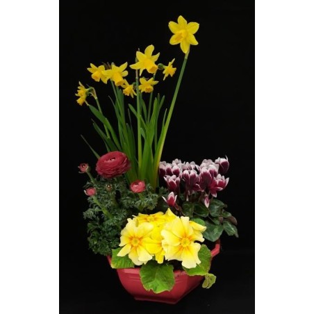 CLEMENCE COMPOSITION FETE DE PAQUES COUPE DE 4 PLANTES PRINTEMPS