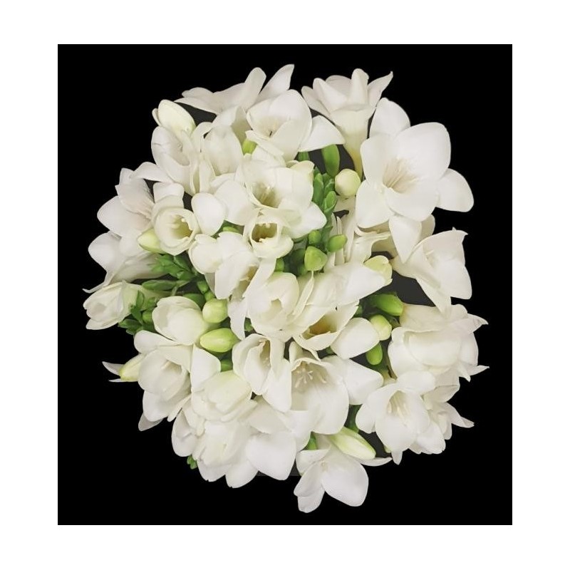 BOUQUET PROMOTION FREESIA 20 TIGES COMPOSE DE 20 FREESIA BLANCS BOUQUET PROMOTION FREESIA 20 TIGES COMPOSE DE 20 FREESIA BLANCS