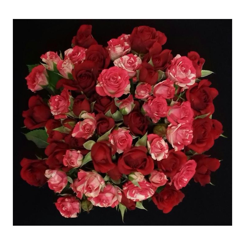 BOUQUET PROMOTION ROSE BUISSON 10 TIGES ( 5 ACHETEES 