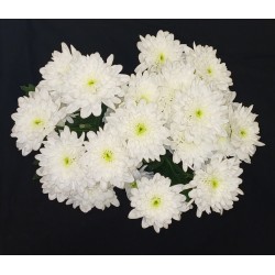 BOUQUET FETE BLACK FRIDAY 3...