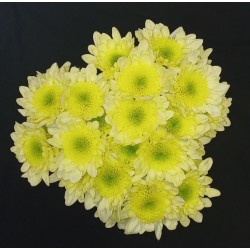 BOUQUET FETE BLACK FRIDAY 3...