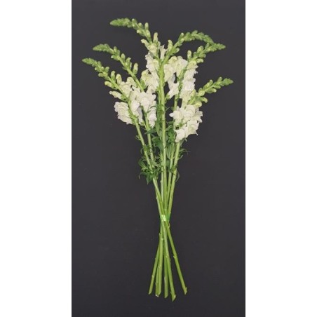 BOUQUET PROMOTION MUFLIER VARIE PAR 6 TIGES (3 ACHETEES BOUQUET PROMOTION MUFLIER VARIE PAR 6 TIGES (3 ACHETEES