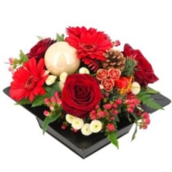 COMPOSITION HIVERNALE