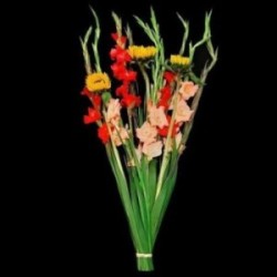 BOUQUET PROMOTION 13 GLAIEULS VARIES COMPOSE DE 10 GLAIEULS VARIES ET 3 TOURNESOL