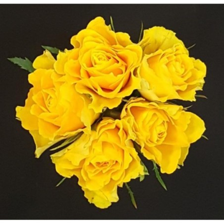BOUQUET FETE BLACK FRIDAY 5 TIGES COMPOSE DE 5 ROSES PB JAUNES BOUQUET FETE BLACK FRIDAY 5 TIGES COMPOSE DE 5 ROSES PB JAUNES