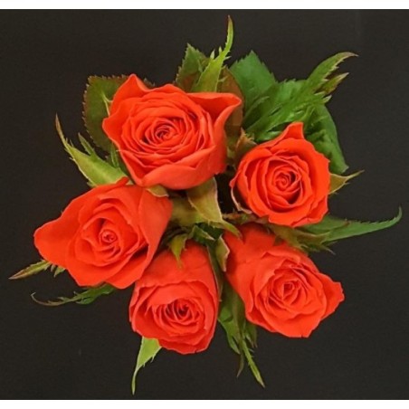 BOUQUET FETE BLACK FRIDAY 5 TIGES COMPOSE DE 5 ROSES PB ORANGES BOUQUET FETE BLACK FRIDAY 5 TIGES COMPOSE DE 5 ROSES PB ORANGES