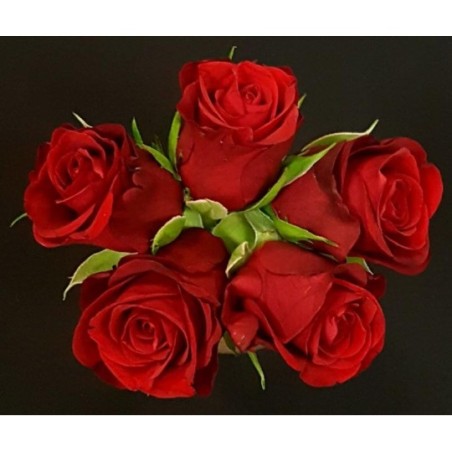 BOUQUET FETE BLACK FRIDAY 5 TIGES COMPOSE DE 5 ROSES PB ROUGES BOUQUET FETE BLACK FRIDAY 5 TIGES COMPOSE DE 5 ROSES PB ROUGES