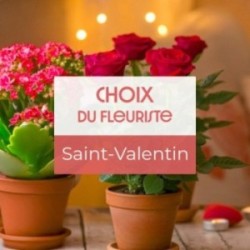 PLANTE DU FLEURISTE SAINT...