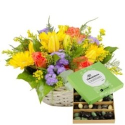 JARDIN FESTIF + AMANDES