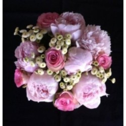 BOUQUET PROMOTION 21 TIGES PIVOINES