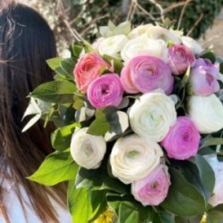 BOUQUET DE RENONCULES