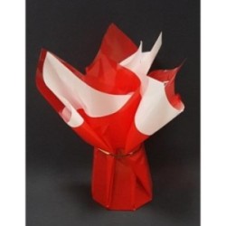 BULLE ROUGE ET BLANC