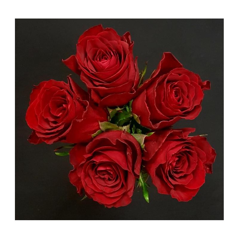 LINA BOUQUET DE 5 ROSES ROUGES