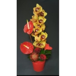 CHLOE COMPOSITION ST VALENTIN 16 TIGES