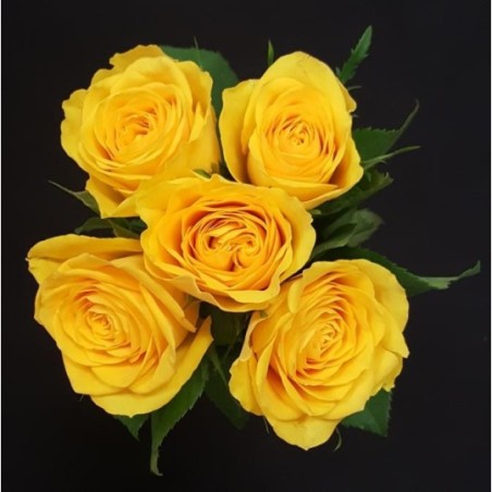 GABRIELLE BOUQUET DE 5 ROSES JAUNES GB 50 CM