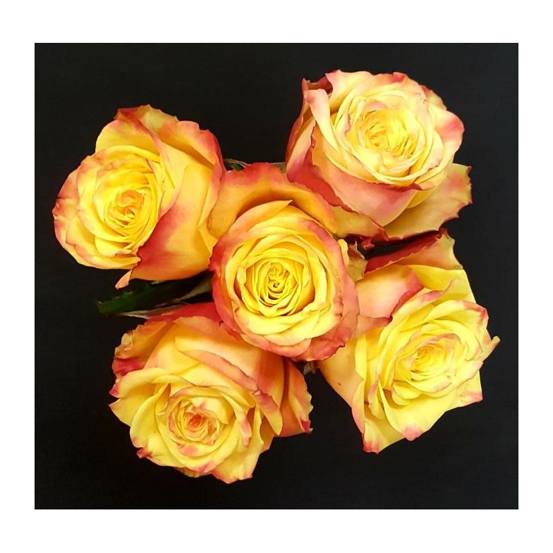 HELOISE BOUQUET DE 5 ROSES JAUNES/ROUGES
