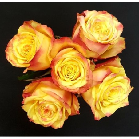 HELOISE BOUQUET DE 5 ROSES JAUNES/ROUGES