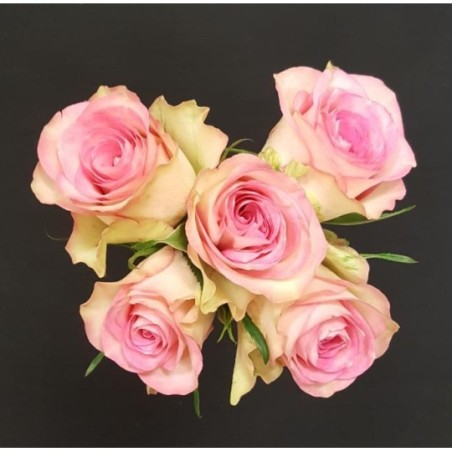 NOEMIE BOUQUET DE 5 ROSES ROSES