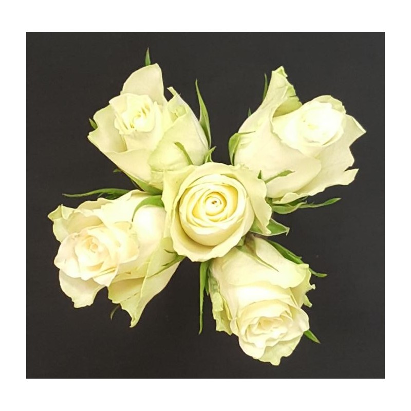 YASMINE BOUQUET DE 5 ROSES BLANCHES GB 50 CM