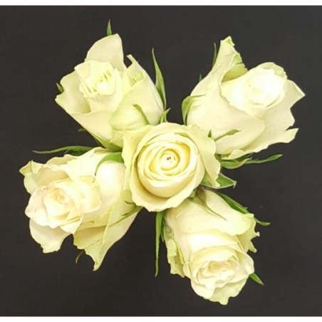 YASMINE BOUQUET DE 5 ROSES BLANCHES GB 50 CM