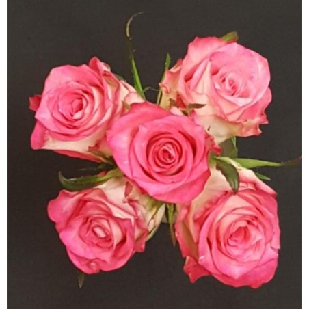 NOA BOUQUET DE 5 ROSES CREMES/ROSES GB 50 CM NOA BOUQUET DE 5 ROSES CREMES/ROSES GB 50 CM