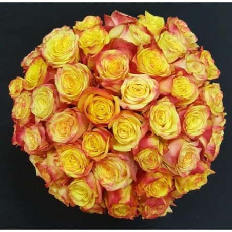 JOSEPHINE BOUQUET DE 50 ROSES JAUNES/ROUGES GB 50 CM