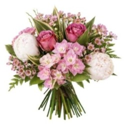 ROSE BOHEME
