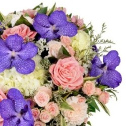 WB82736
