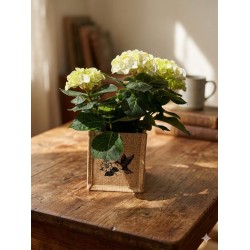 HORTENSIA POT 13 CM AVEC...