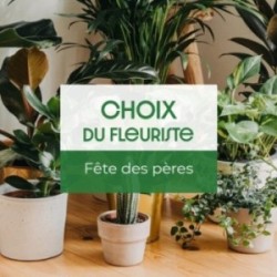 PLANTE DU FLEURISTE FETE...
