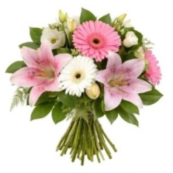 DUCHESSE