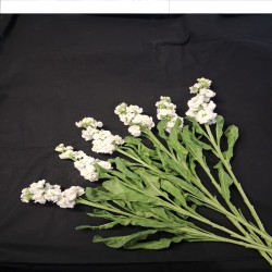GIROFLEE BOUQUET PROMOTION...