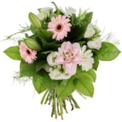 DUCHESSE