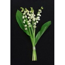 MUGUET EXTRA 5 BRINS 1 FEUILLE