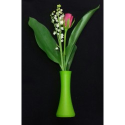 MUGUET EXTRA 3 BRIN 1...