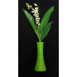 MUGUET MINI VASE PIPETTE 3...