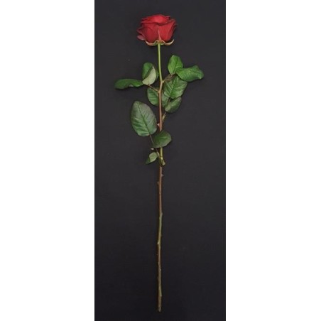 ROSE ROUGE 70CM ROSE ROUGE 70CM