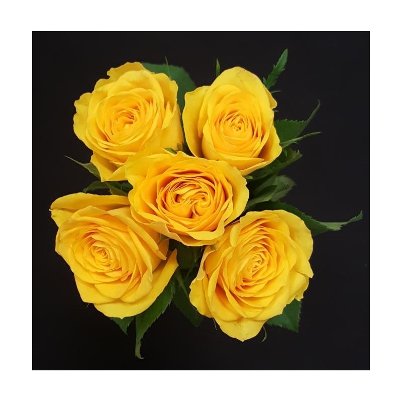 GABRIELLE BOUQUET DE 5 ROSES JAUNES GB 50 CM